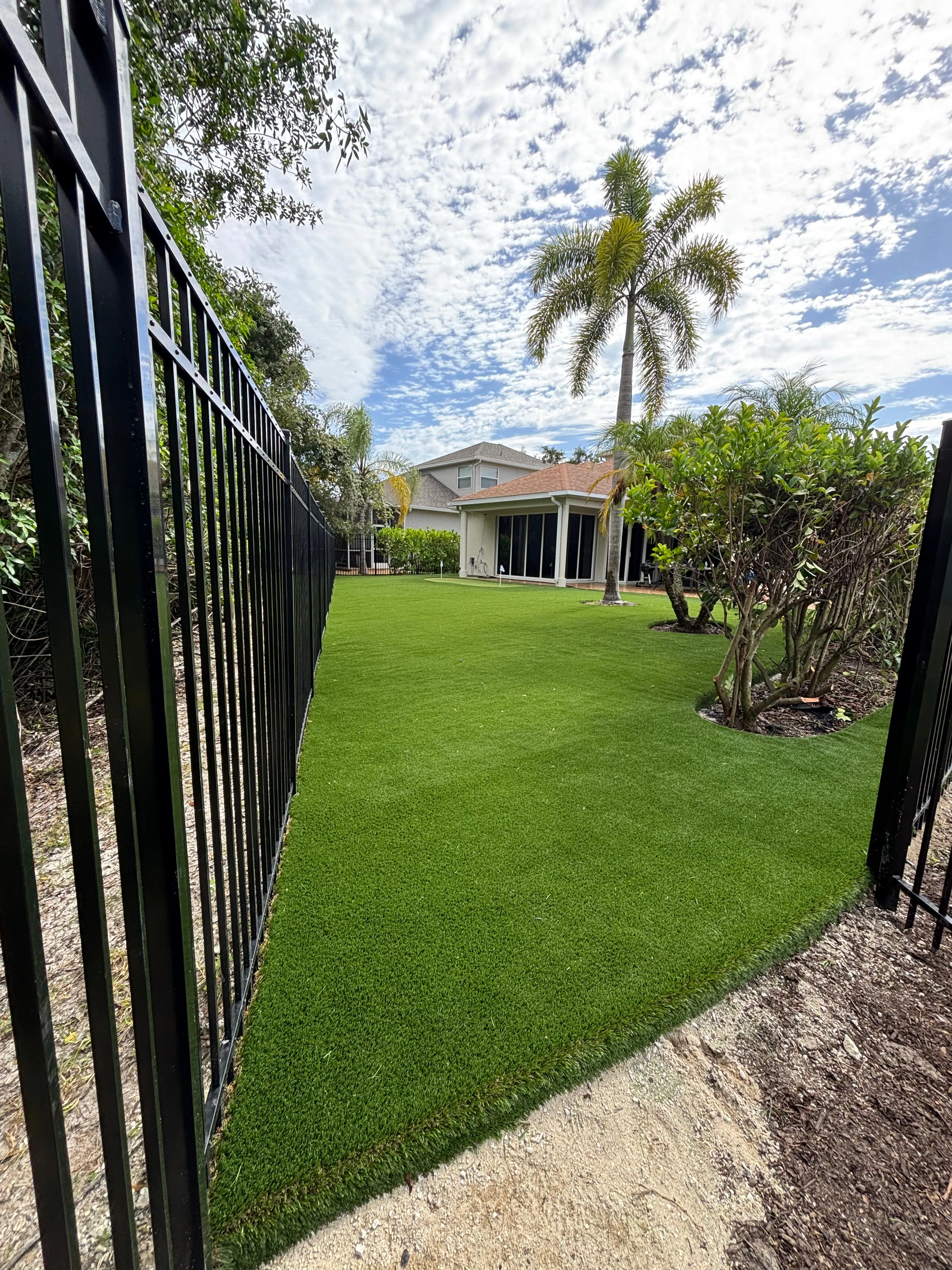 A full backyard of artificial turf under palm trees with a black aluminum fence