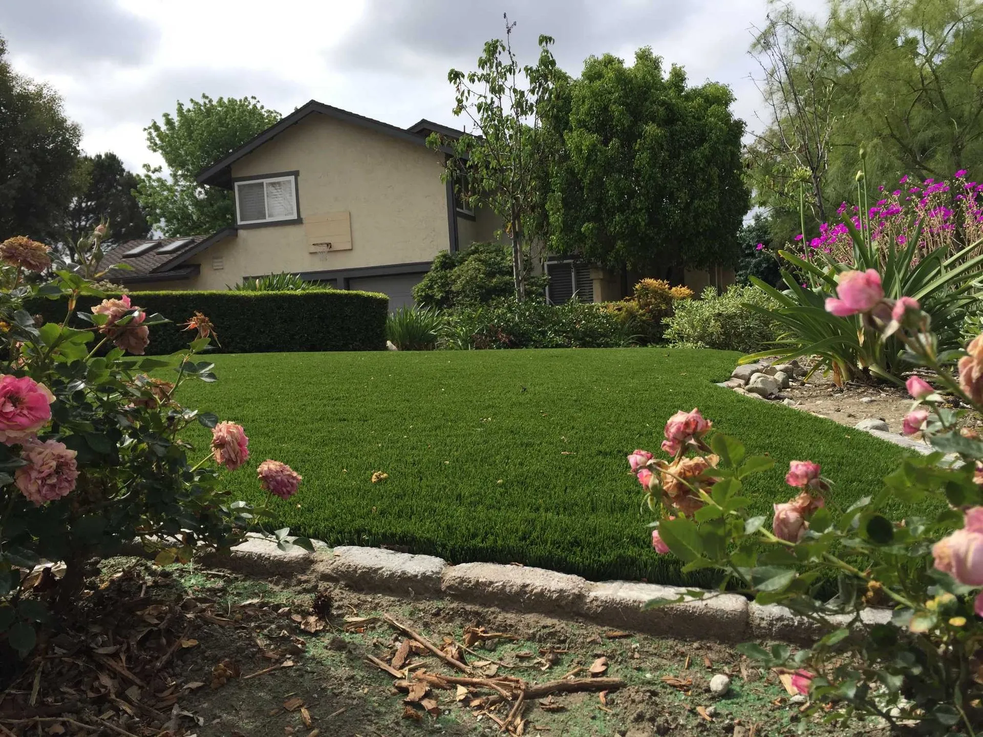 Arizona Platinum Olive artificial turf installed in a yard, manufacturer photo 1