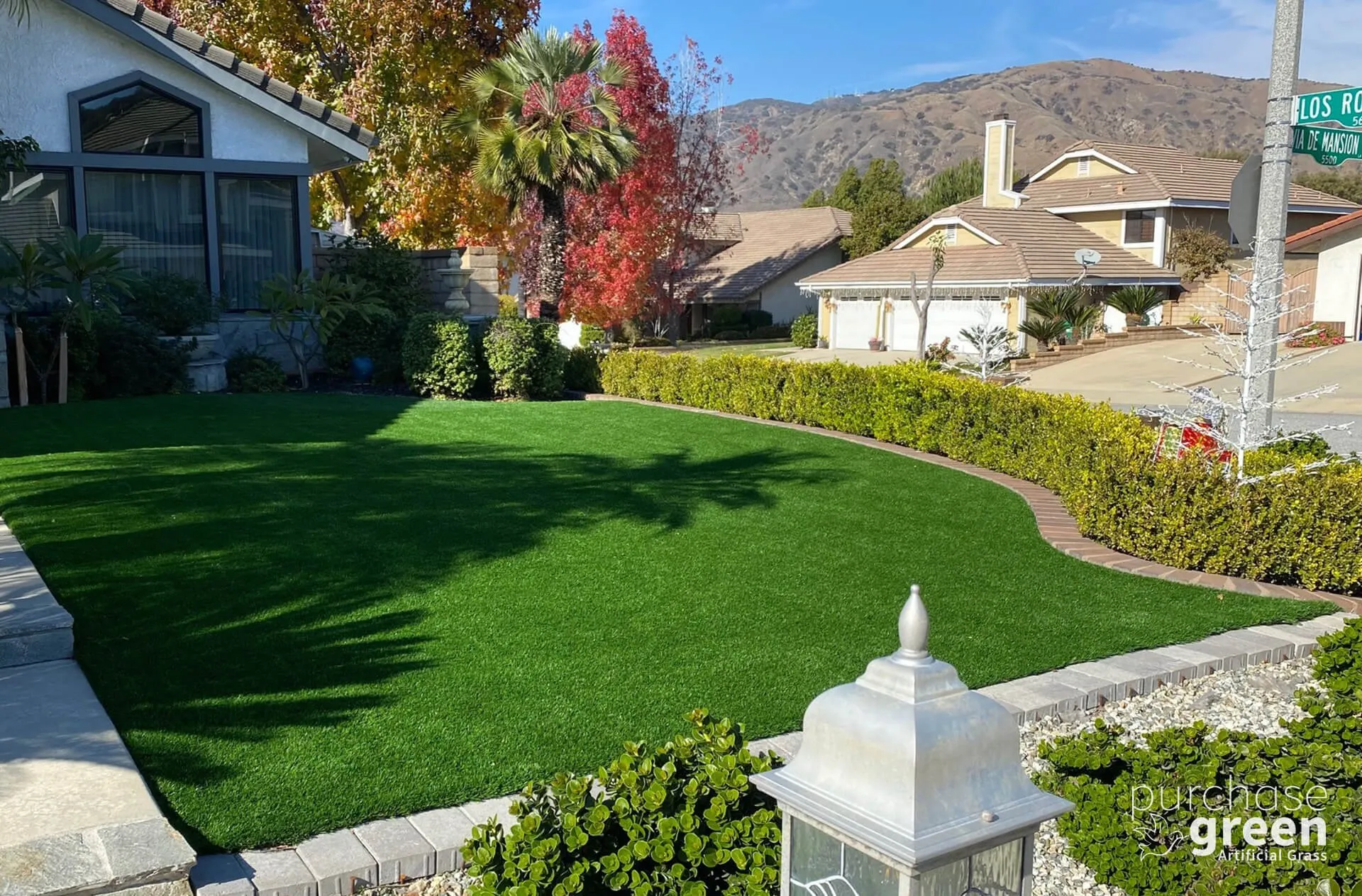 Bluegrass Supreme artificial turf installed in a yard, manufacturer photo 1