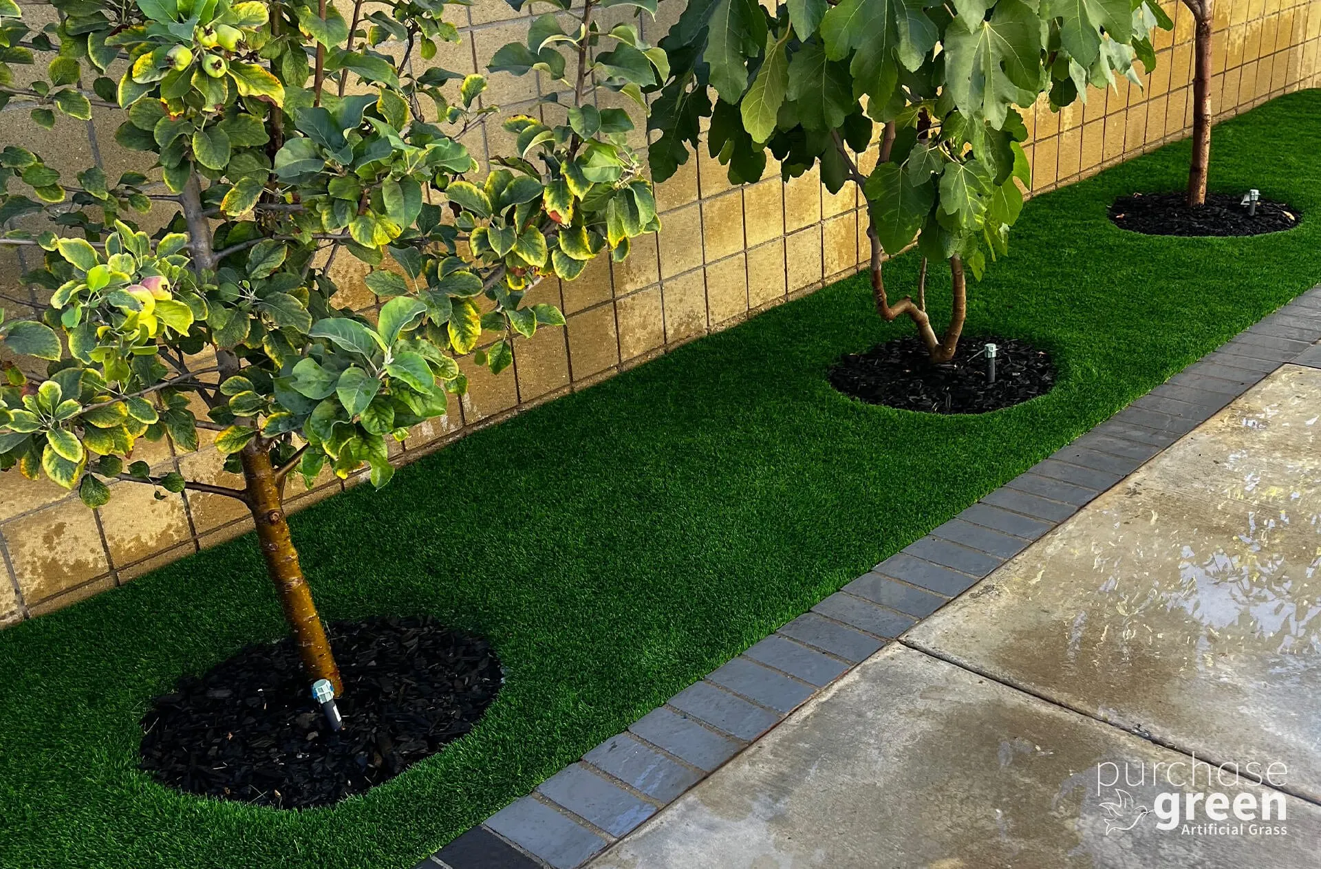 Arizona Platinum Spring artificial turf installed in a yard, manufacturer photo 1
