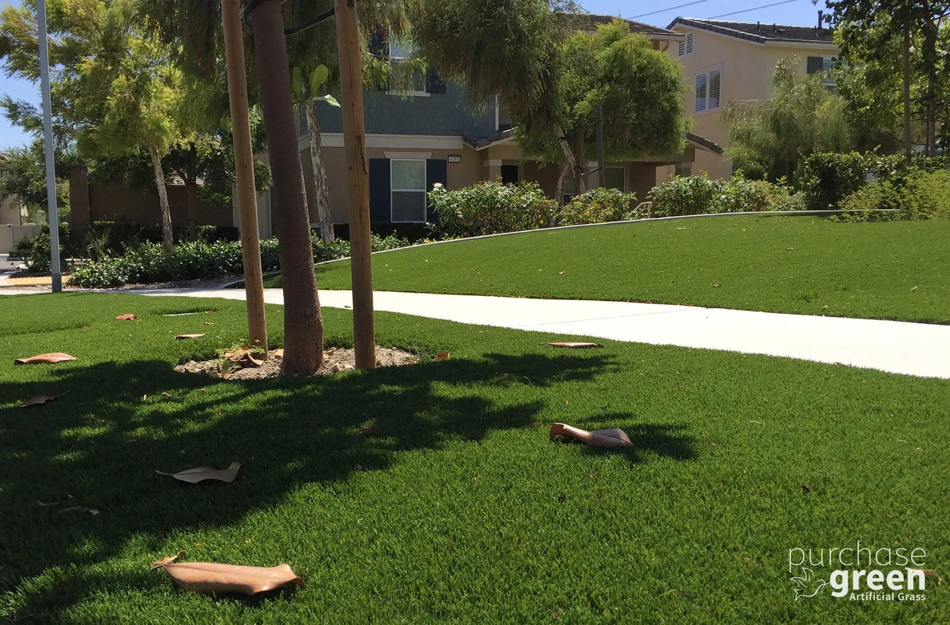 Arizona Pro Olive artificial turf installed in a yard, manufacturer photo 2