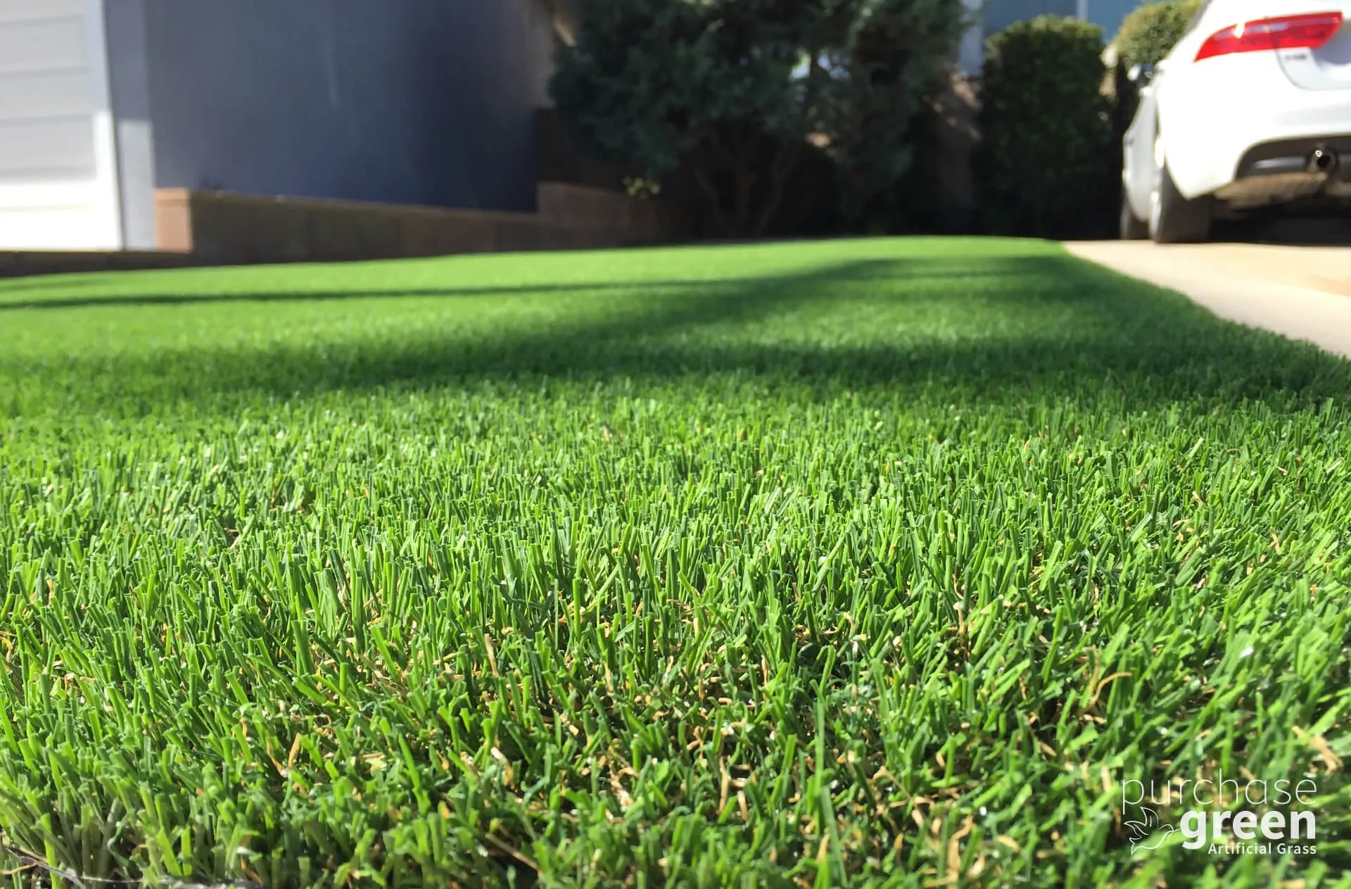 Bluegrass Light artificial turf installed in a yard, manufacturer photo 3