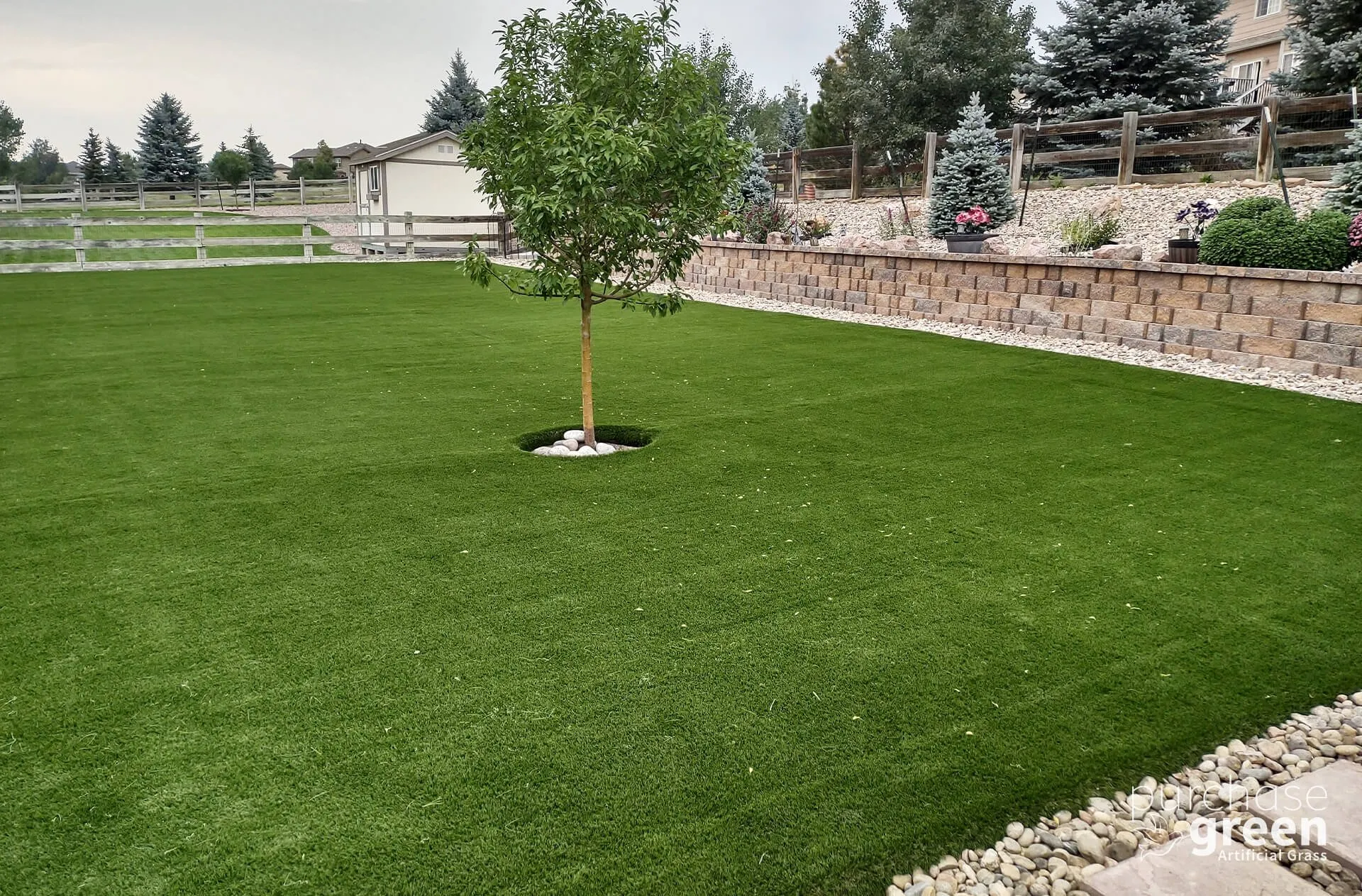 Arizona Platinum Olive artificial turf installed in a yard, manufacturer photo 4