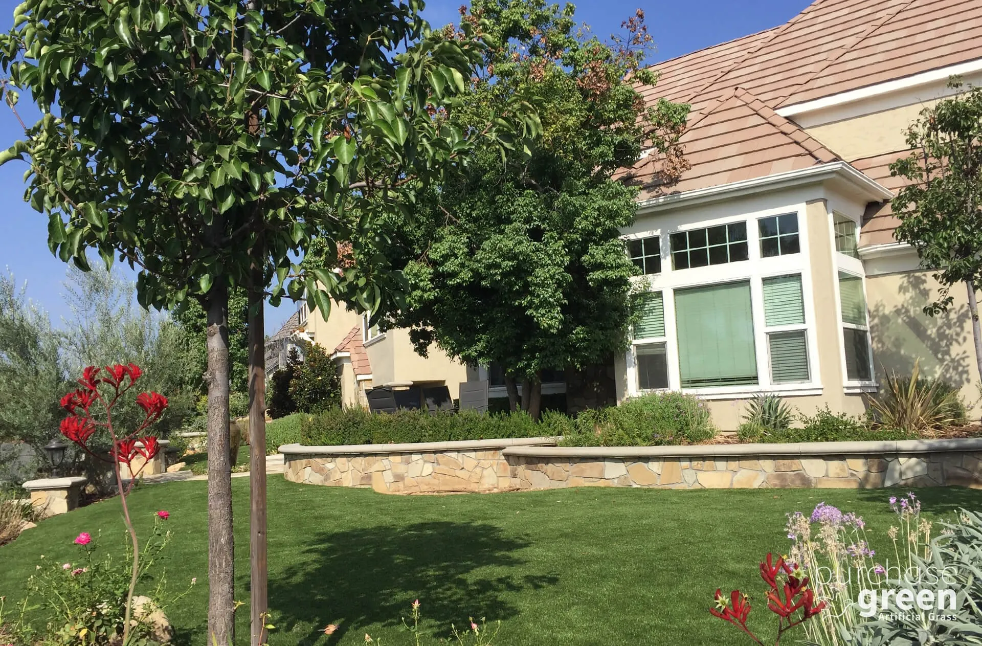 Fescue Supreme artificial turf installed in a yard, manufacturer photo 4