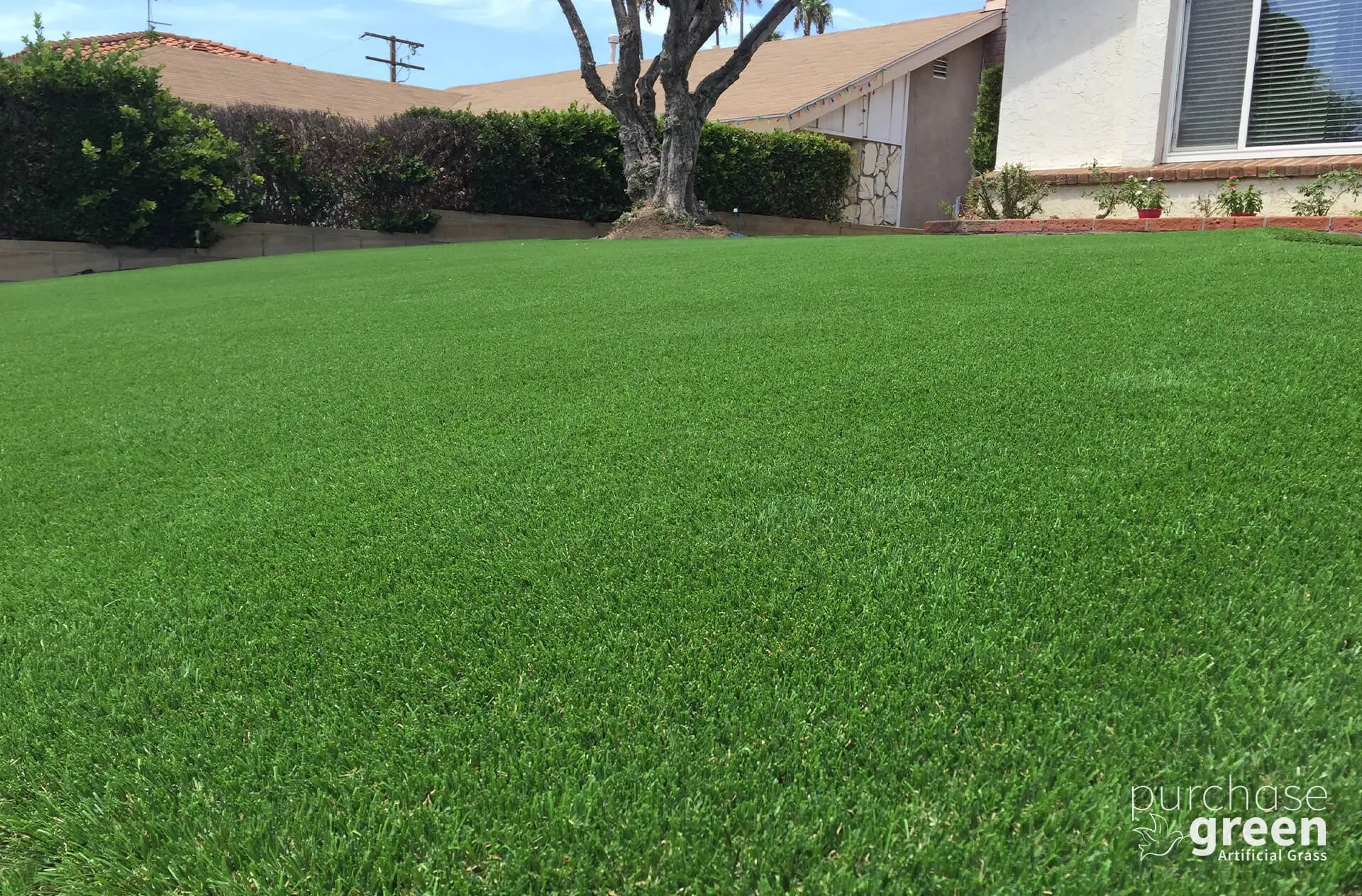 Bluegrass Light artificial turf installed in a yard, manufacturer photo 5