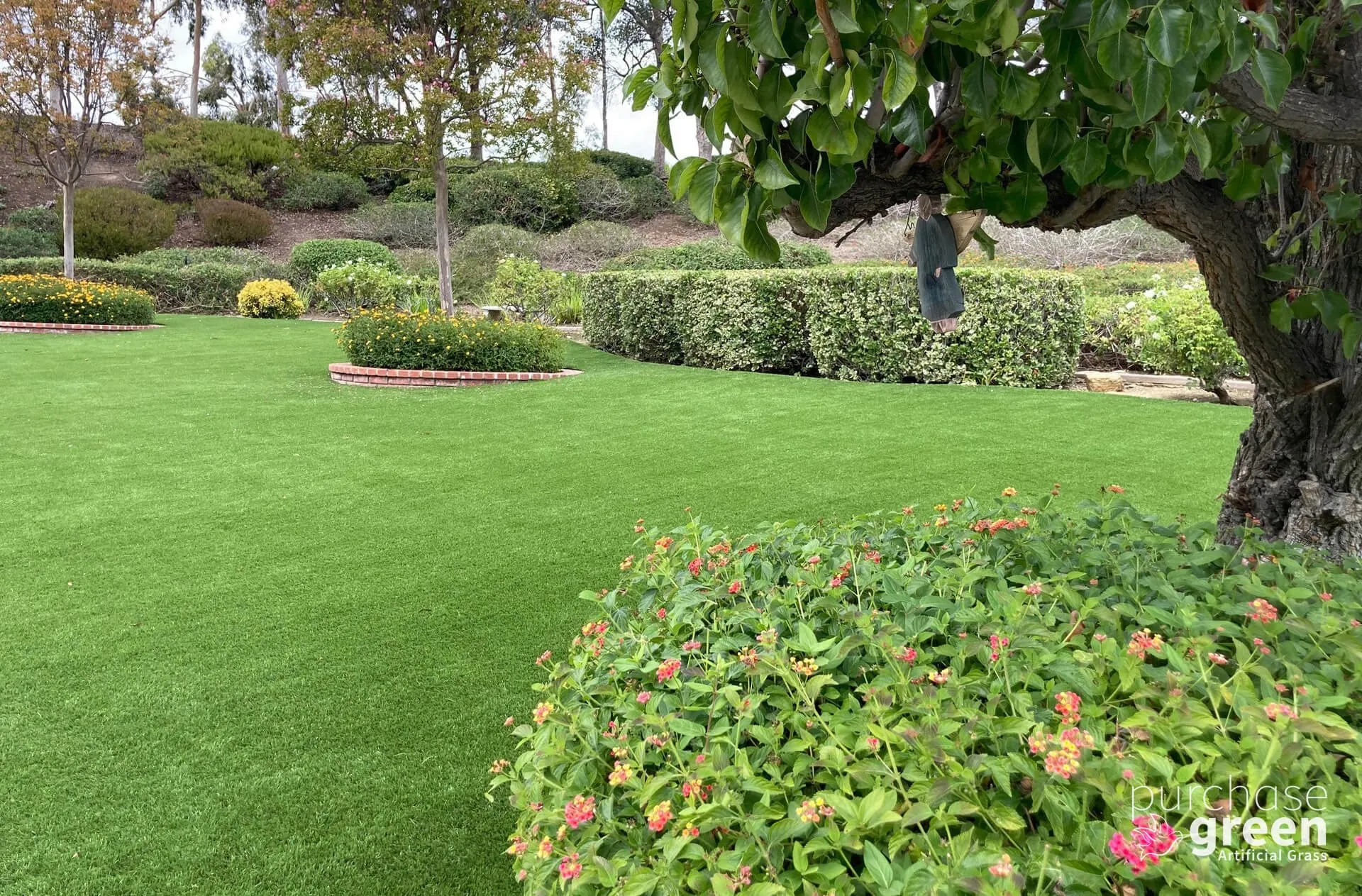 Fescue Supreme artificial turf installed in a yard, manufacturer photo 5