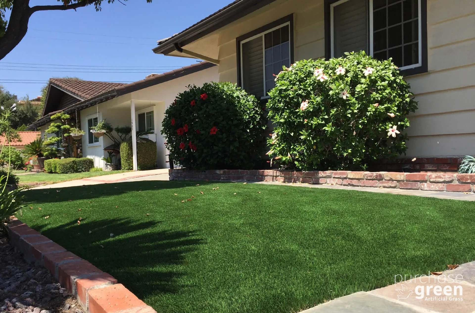 Bluegrass Supreme artificial turf installed in a yard, manufacturer photo 5