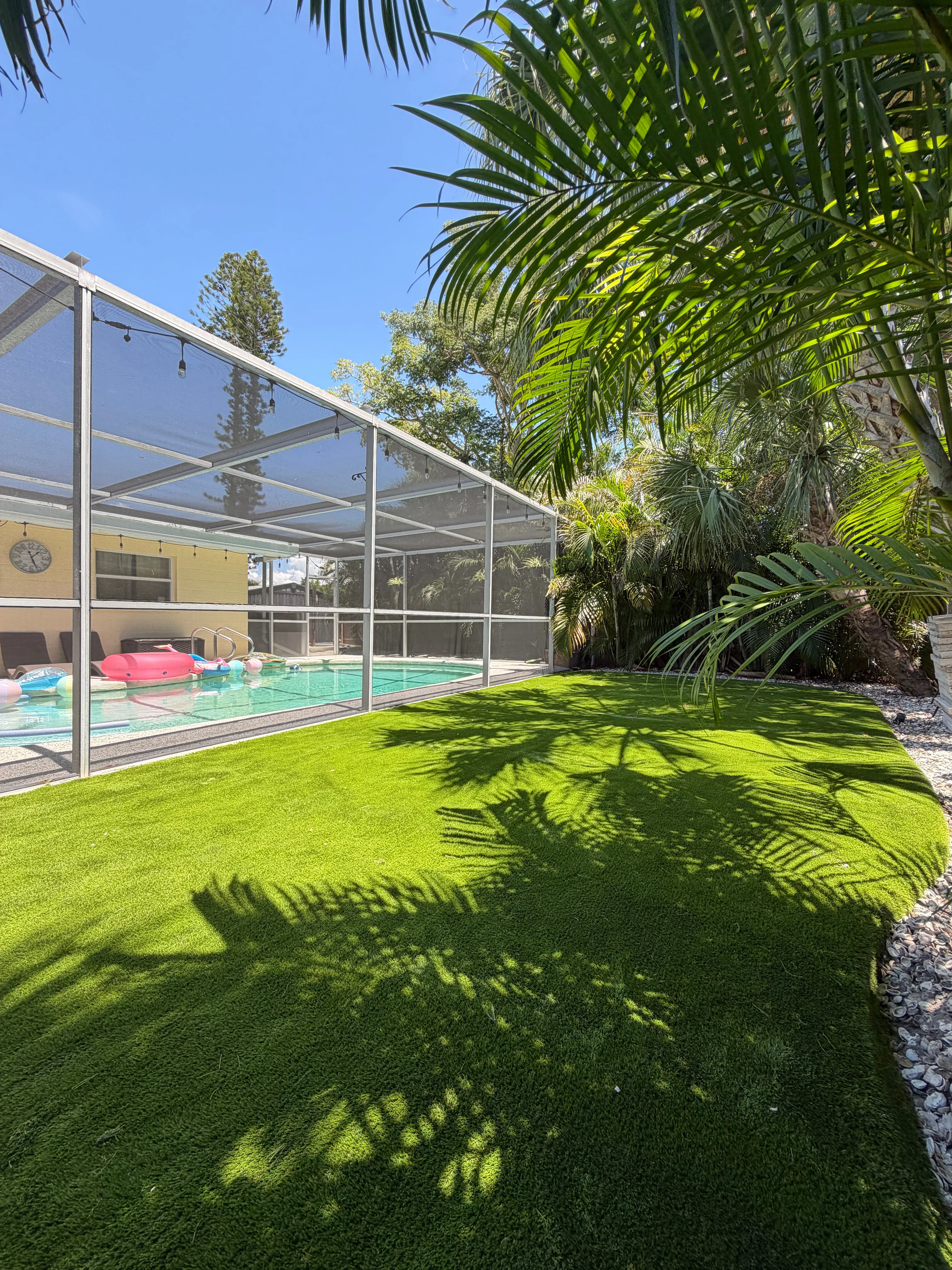 Artificial turf beside a screened pool enclosure, shaded by palm fronds
