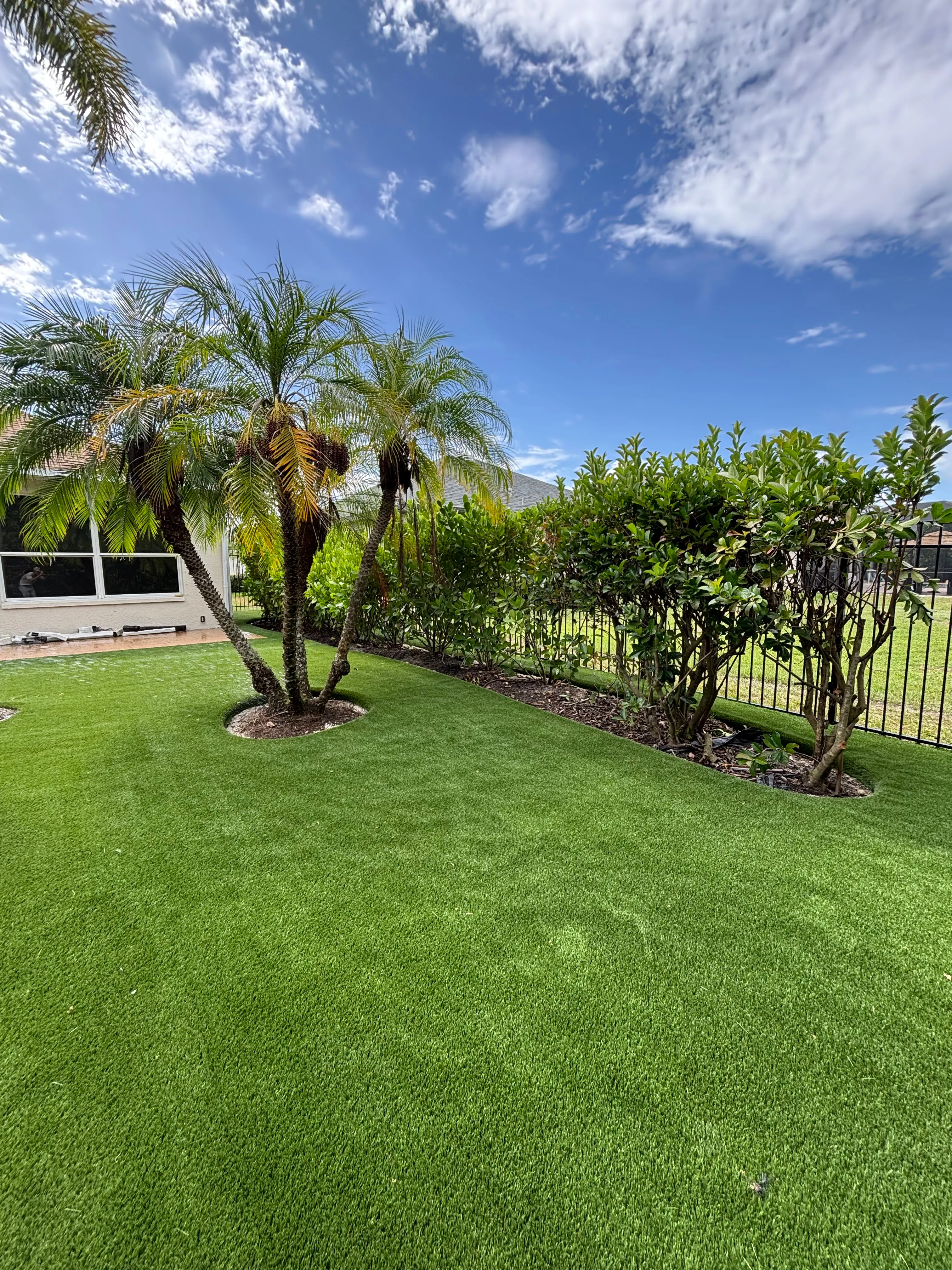 An open artificial turf lawn under palm trees with a hedge and fence behind