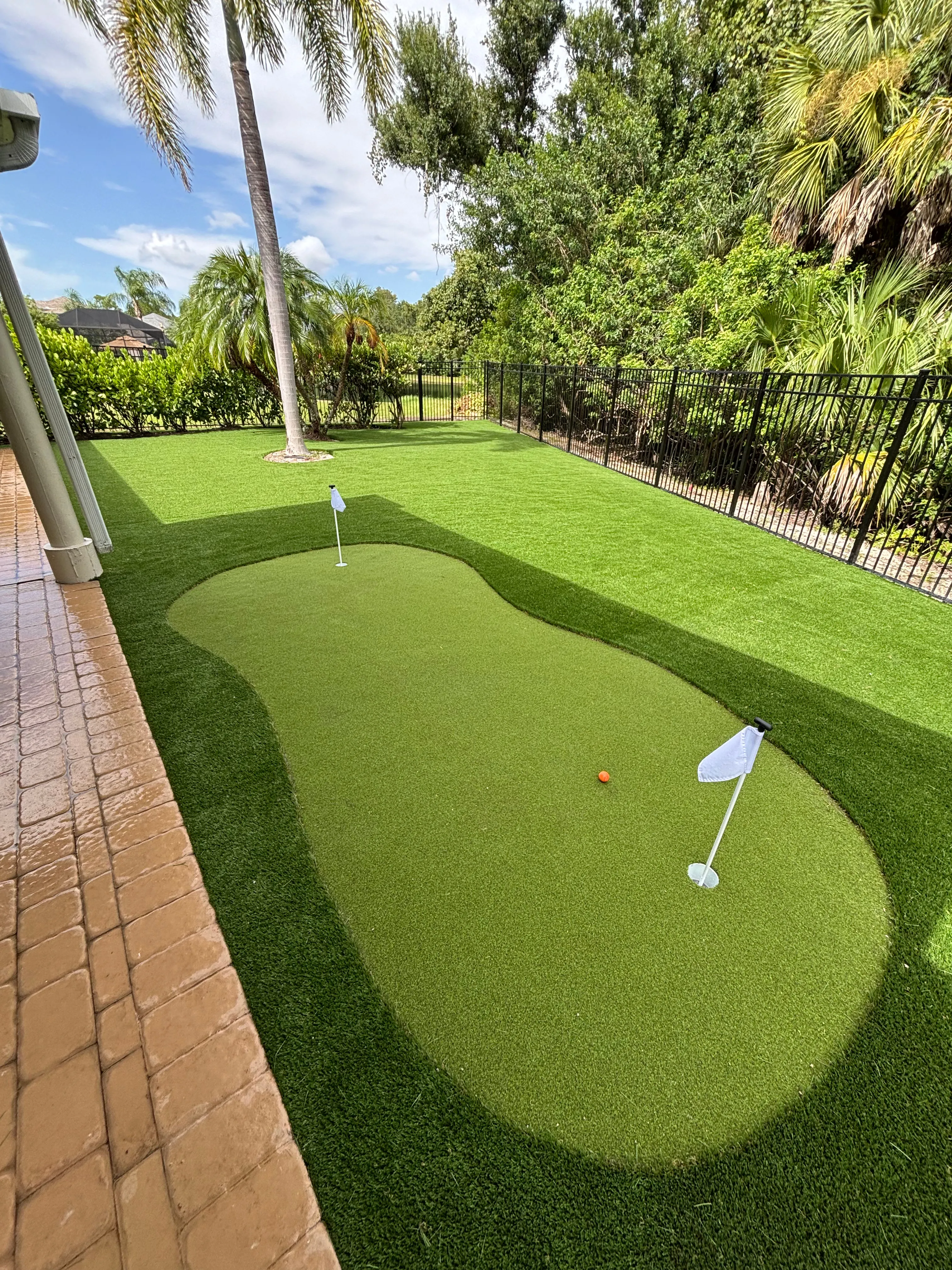 Kidney-shaped putting green beside a palm and a paver patio
