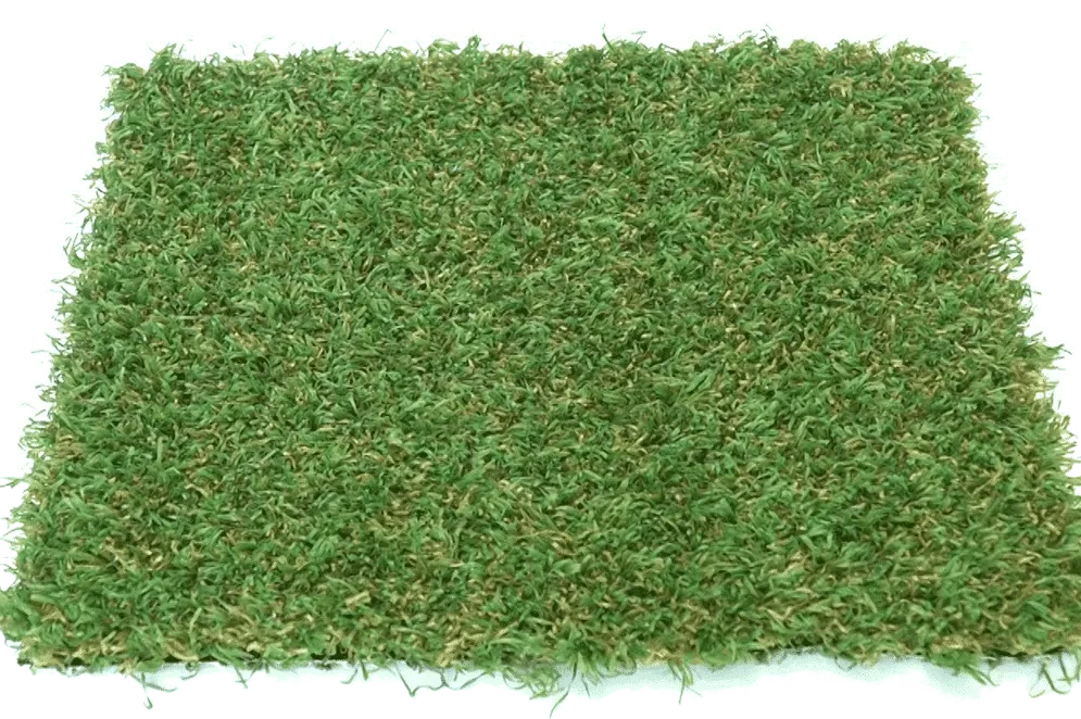 Playscape Premier 75, product view 2