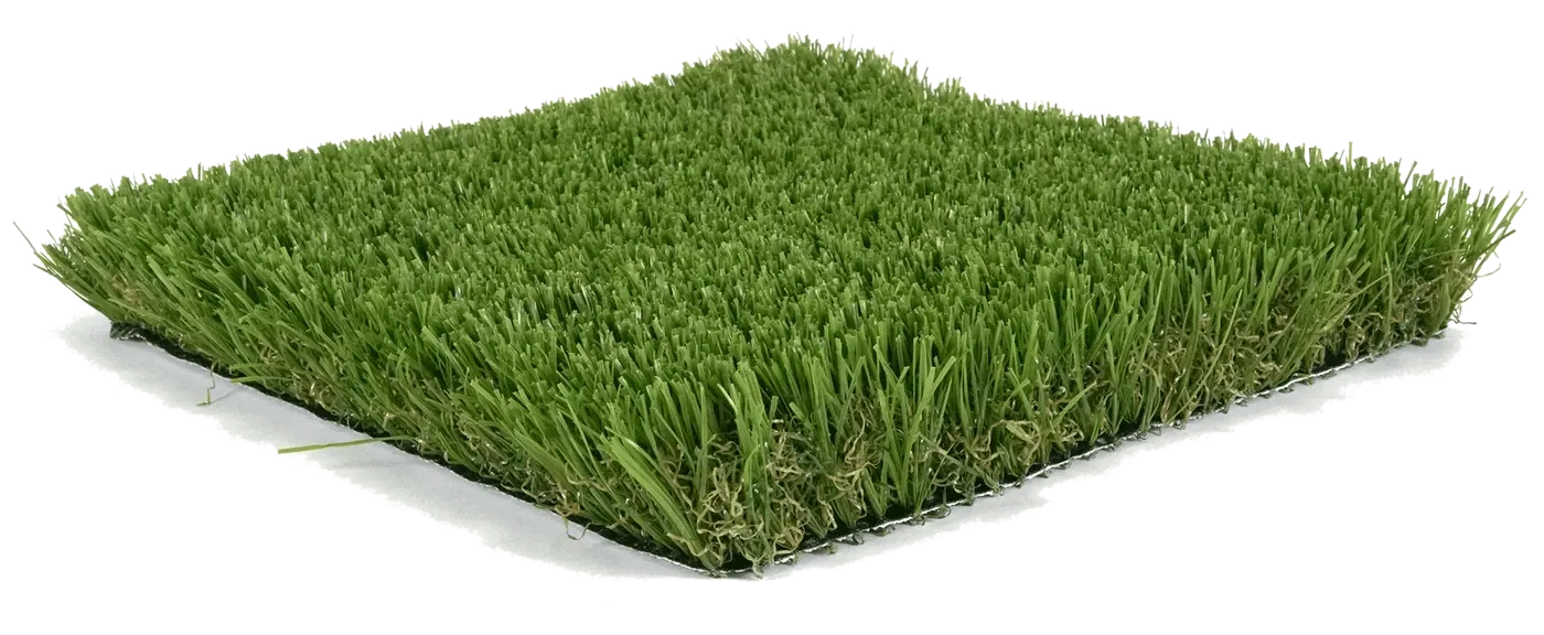 St. Augustine turf sample